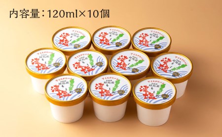 藻塩アイスクリーム [WBS002] 藻塩 アイスクリーム 九州 長崎 対馬 熊本 お菓子 スイーツ デザート おやつ プレゼント 贈答 ジェラート シャーベット 父の日 母の日 お中元 お歳暮 ギフ