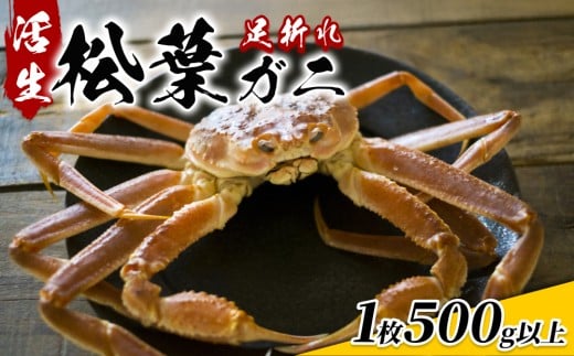 【22015】鳥取県網代産　松葉がに（足折れ１～２本）500g以上（生）