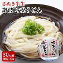 【ふるさと納税】「さぬき半生」 讃岐吟麦うどん 30人前 300g×10袋 麺類 　お届け：12月15日以降のご寄附（入金確認日）は翌年1月10以降より順次配送致します。