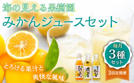【全3回定期便】【自家栽培の柑橘のみを使用】みかん ジュース 3本 セット【善果園】[KAA524]