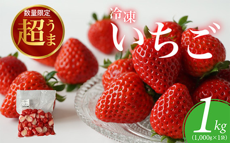 No.140 ☆お母さん応援☆ レシピ付き 大容量 冷凍いちご 1kg 冷凍 いちご