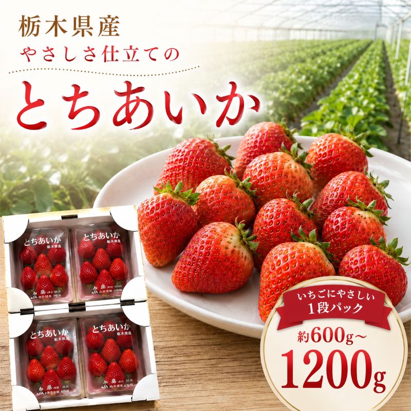 【ふるさと納税】 いちご とちあいか 300g ×2P or 4P【2027年 先行予約】2026年12月より発送 | やさしさ仕立てのとちあいか 減農薬 子供 お子様 食べやすい 美味しい ご褒美 甘い スイーツ お取り寄せ 朝採れ いちご イチゴ 苺 フルーツ 果物 産地直送 栃木県 矢板市