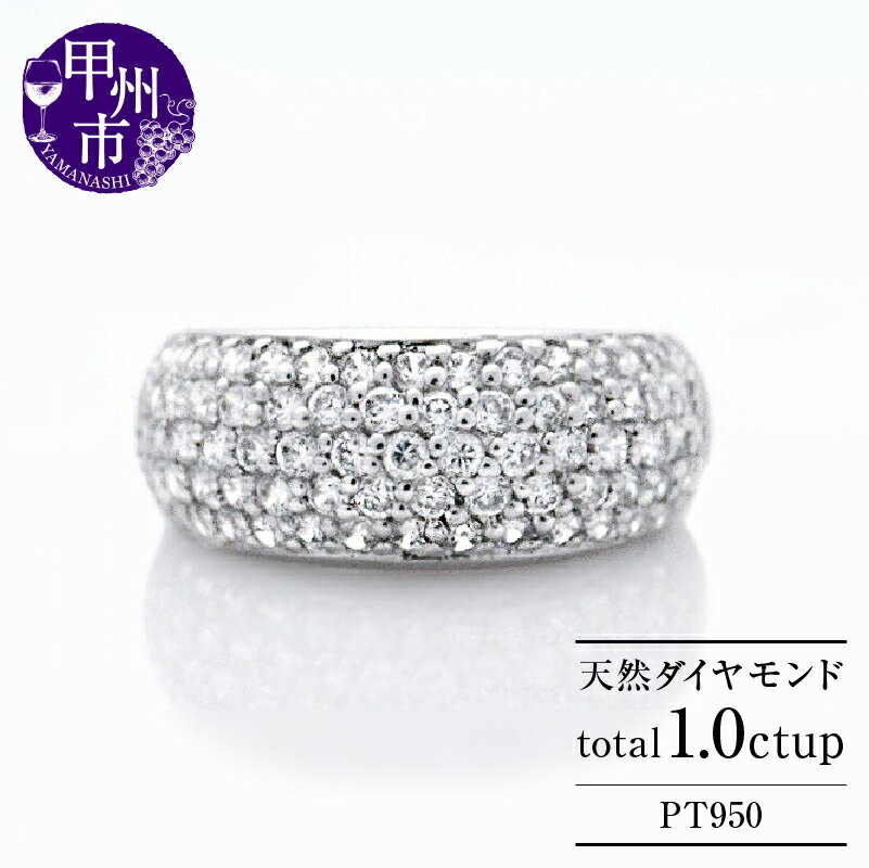 【ふるさと納税】 リング 指輪 ファッション pt950 天然 ダイヤ 1.0ct パヴェ プラチナ レディース 贅沢 1カラット SIクラス ダイヤモンド 天然石 エンゲージ 婚約 高級 上質厳選素材 一生モノ エタニティ 4月誕生石 品質保証書付 "Elisabeth" r-252 (KRP) 【P87-1411】