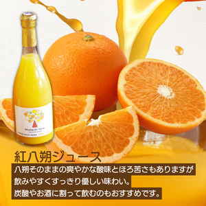 【おくはち農園】紅八朔（べにはっさく）ジュース（720ml × 4本）《2026年5月～発送予定》栽培期間中 防腐剤 ワックス 不使用 旬 柑橘 かんきつ フルーツ 果物 ジュース ドリンク 瀬戸内 