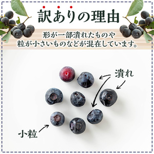 y528 《訳あり・加工用》冷凍ブルーベリー(1kg) 冷凍 国産 九州産 鹿児島県産 くだもの 果物 フルーツ シャーベット ジャム フローズン ベリー おやつ デザート 【体験型観光農園さつまドリ
