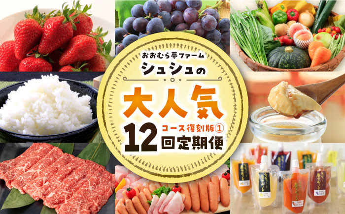 ※今後受付しない※【全12回定期便】シュシュ大人気コース復刻版１ 大村市 おおむら夢ファームシュシュ [ACAA093]