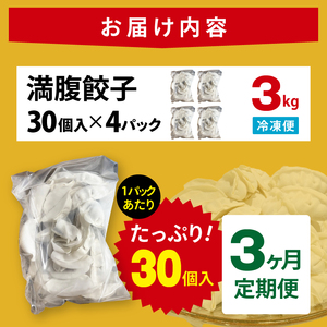 【3ヶ月定期便】満腹餃子 リピーター続出！ボリューム満点！120個（３kg ）×3回 老舗 大容量 国産 焼き餃子 冷凍 ぎょうざ ギョーザ 冷凍餃子 簡単調理 惣菜 おかず おつまみ スタミナ 高評
