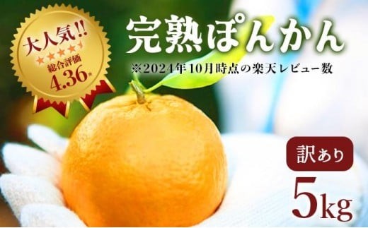 【先行予約】 訳アリ完熟ぽんかん 5kg 国産 東洋町産 訳あり 甘酸っぱい ジューシー 高知県 東洋町 四国 お取り寄せ フルーツ 蜜柑 ミカン 果物 送料無料 産地直送