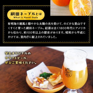 51-37　桑田商店　限定生産　ネーブルオレンジ原料の宇土クラフトビール６本セット