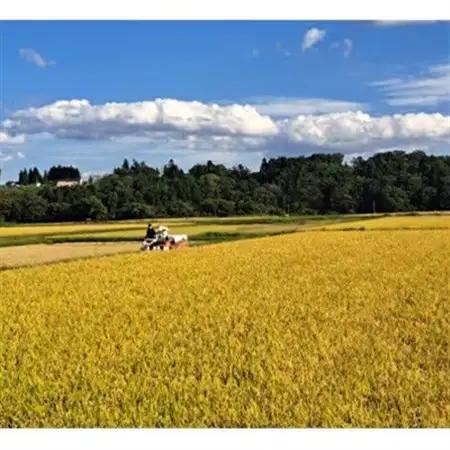 【令和7年産】はれわたり　精米 20kg【1455903】