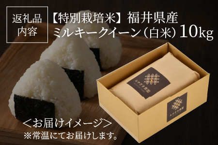 【令和5年度産】【特別栽培米】福井県産 ミルキークイーン 10kg ～化学肥料にたよらない100%の有機肥料～ ネオニコフリー（白米）[A-13406_01]