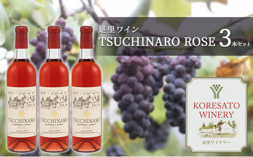 
是里 ワイン TSUCHINARO ROSE 3本 セット ワイン ぶどう 葡萄 お酒 果実酒 洋酒 岡山 赤磐市
