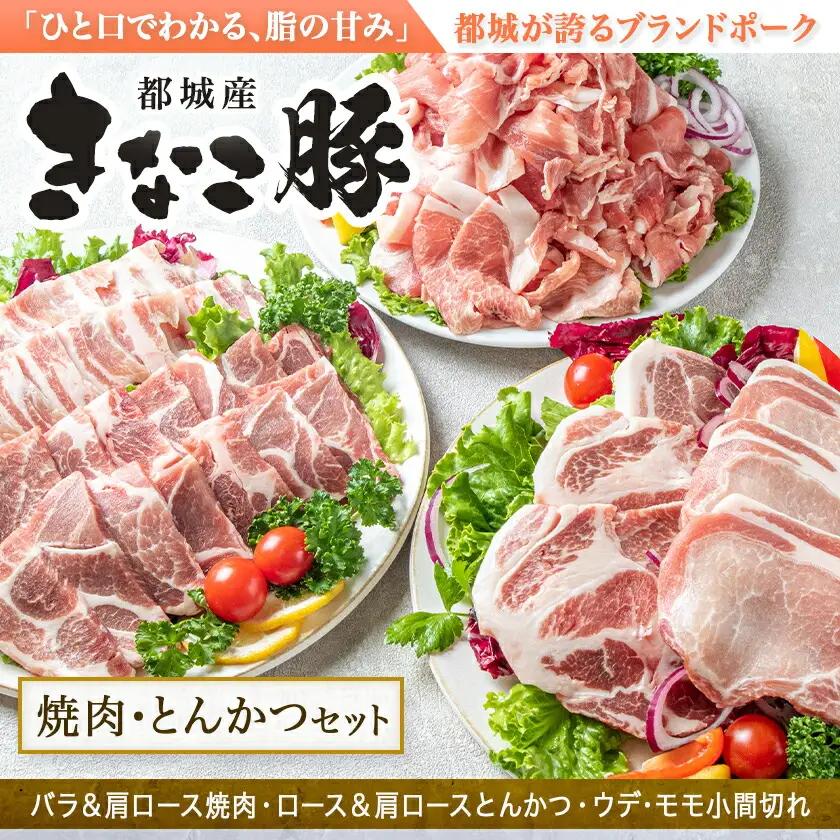 「きなこ豚」焼肉・とんかつセット 計2.1kg〔MJ-1204〕_(都城市) ブランド豚 豚カツ用 トンカツ用(ロース / 肩ロース) 焼き肉用 (豚バラ / 豚肩ロース) 切り落とし 小間切れ