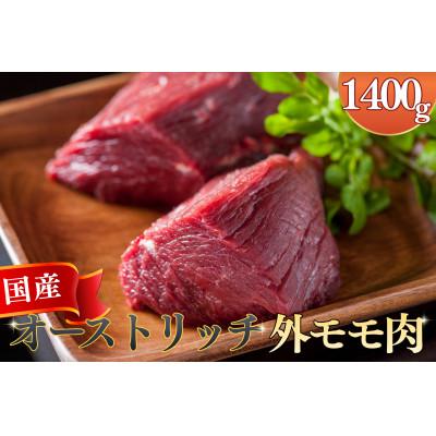 ふるさと納税 美里町 国産オーストリッチ外モモ肉　1.4kg◆ダチョウ肉