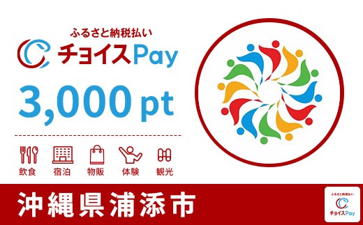 
                  浦添市チョイスPay 3,000pt【会員限定のお礼の品】
                