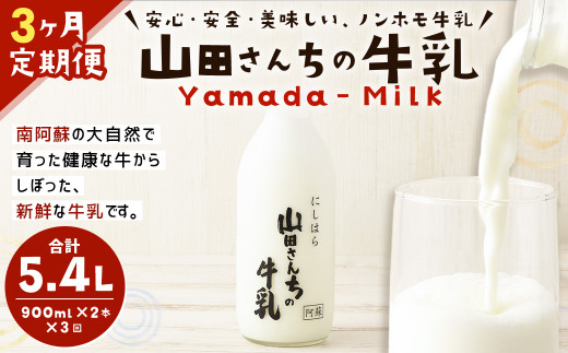 【3ヶ月定期便】山田さんちの牛乳 2本セット 900ml×2本 計3回 合計5.4L ノンホモ牛乳 牛乳