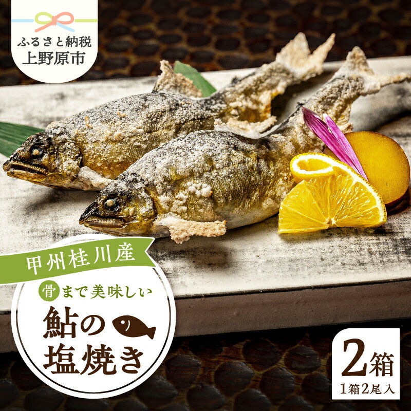 【ふるさと納税】 鮎 塩焼き 塩焼 甲州桂川産鮎 ふっくら 香ばしい 2尾×2箱 本格 特製 お惣菜 常温 保存 お弁当 つまみ 絶品 食事処 あやの 送料無料 山梨県 上野原市