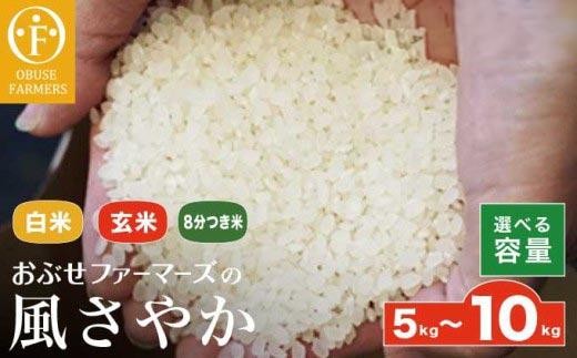 
                  風さやか 白米 玄米 8分つき米  約5kg  約10kg 選べる 精米方法 内容量 ［ おぶせファーマーズ ］ お米 コメ おこめ ご飯 精米 長野県産
                
