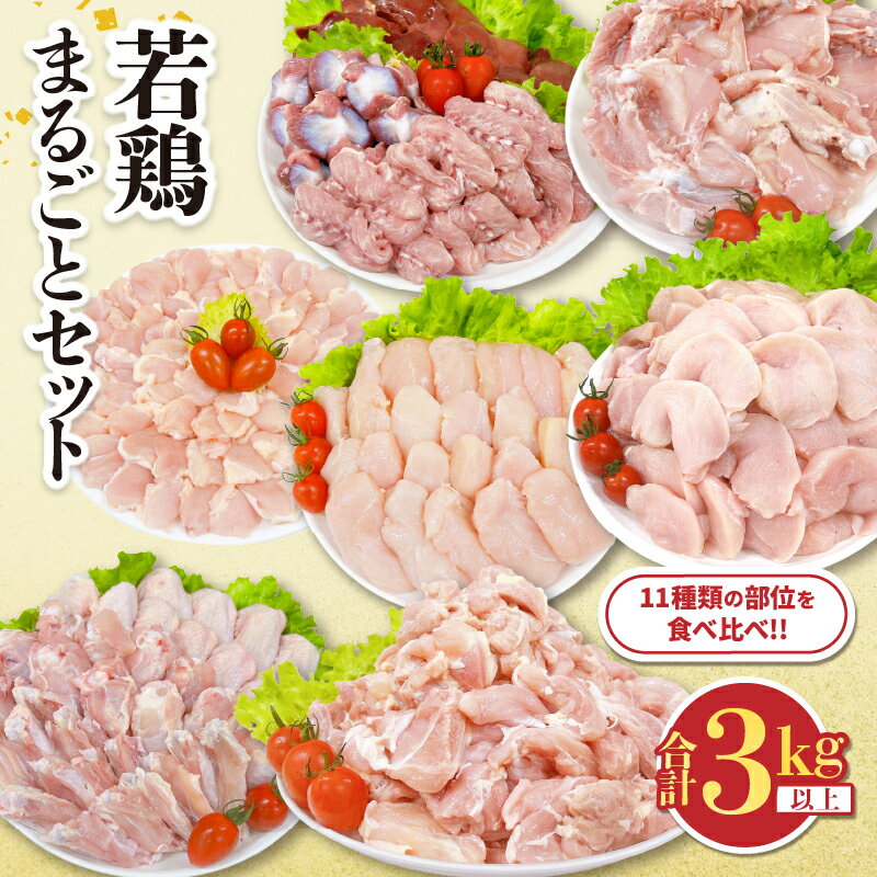 【ふるさと納税】若鶏 まるごと セット 合計3kg以上 鶏肉 国産 チキン 鶏もも肉 鶏むね肉 切身 ささみ 肝 砂肝 小肉 手羽先 手羽中 手羽元 肩肉 骨付きもも 人気 小分け おかず お弁当 食品 真空パック BBQ お取り寄せ おすすめ お祝い おすそ分け 日南市 宮崎県 送料無料