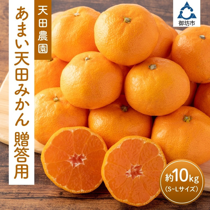 
                  和歌山県　御坊市　あまい天田みかん　贈答用　約10kg《先行予約》
                
