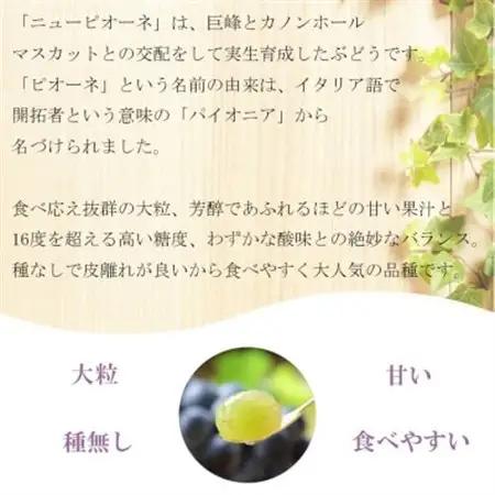 【2026年6月下旬より順次発送】岡山県産 ニューピオーネ 400g×2房【配送不可地域：離島・北海道・沖縄県】【1308140】
