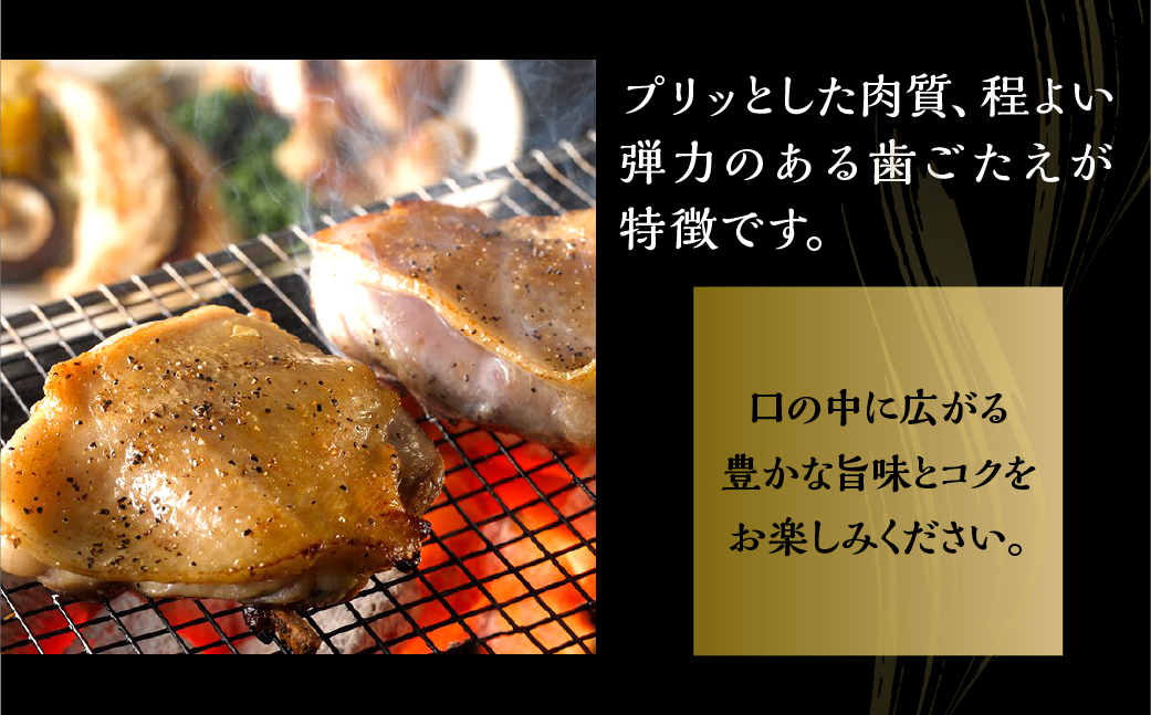 【2kg】三和 純鶏 名古屋コーチン もも肉 2kg 地鶏 鶏肉 創業 明治 33年 さんわ 鶏三和 冷蔵 冷蔵配送  とりにく さんわ 鶏 とり肉 もも モモ肉 もも肉 国産 田原市 24000円 