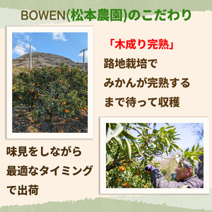【3月から発送】  秀品 中島育ち！ 木成り完熟のせとか MからLサイズ 5kg | 数量限定 果物 フルーツ 高級 みかん 蜜柑 愛媛 松山 柑橘 小玉 甘い おすすめ 愛媛 松山【BWN0021】