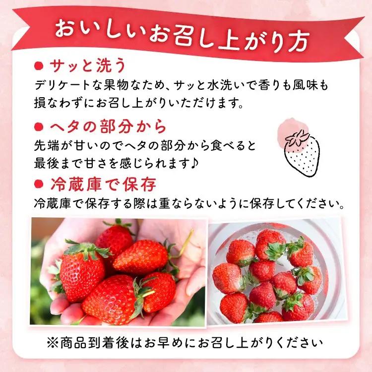 【先行予約】とちおとめ ご家庭用 320g×4パック 約1.2kg グランデサイズ いちご アフター対応あり いちご ※2027年1月～発送