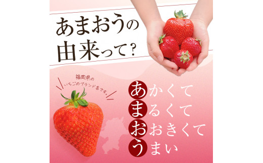 ＜先行予約受付中！2026年12月～2027年2月発送予定＞ うるう農園の あまおう MLサイズ (計約3.2kg・約160g×20P) 苺 いちご イチゴ 果物 フルーツ 国産 福岡県 ヨーグルト 
