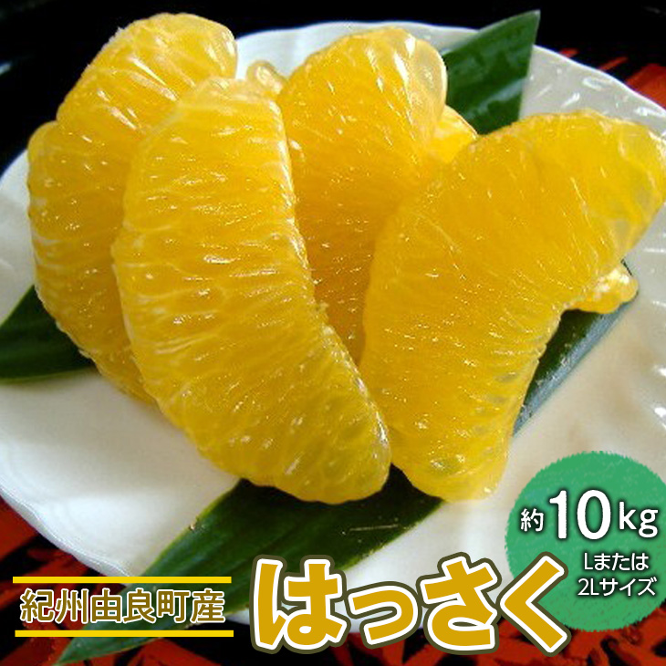 紀州 由良町産 さつきはっさく 約10kg Lまたは2Lサイズ<br>