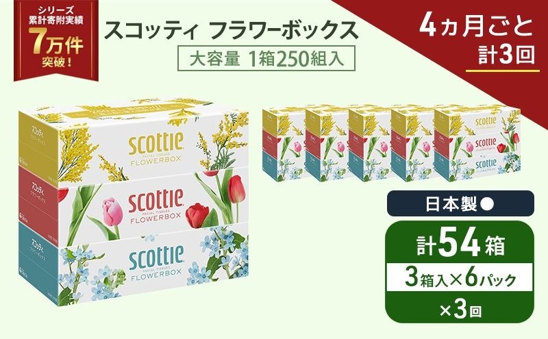 定期便 ティッシュ スコッティ フラワーボックス 3箱 × 6 パック《 4ヶ月ごと計 3回 》ティッシュセット
