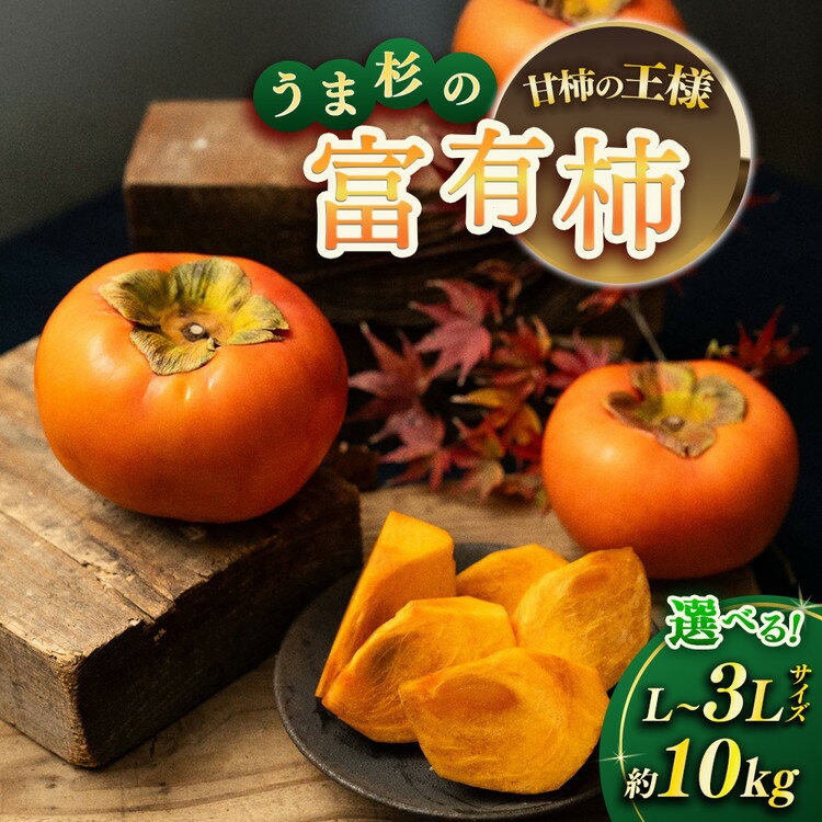 【ふるさと納税】【先行予約】＼選べるサイズ／うま杉の富有柿 10kg｜柿 ふゆうがき かき カキ 選べる フルーツ くだもの 果物 贈答用 家庭用 ギフト 贈り物 スイーツ おやつ 旬 秋の味覚 産地直送 先行 予約 岐阜県 瑞穂市※2026年11月中旬～12月中旬頃に順次発送予定