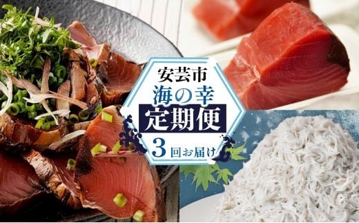 【ふるさと納税】 海鮮 3回定期便 かつおのたたき しらす マグロ 定期便 高知 本場 カツオ人気 かつおのタタキ 冷凍 カツオのタタキ 鰹 かつおのたたき 鮪 まぐろ シラス 海鮮 魚介 魚貝 かつお定期便 海鮮定期便 冷凍 お試し 個包装 小分け 訳あり わけあり 高知県 安芸市