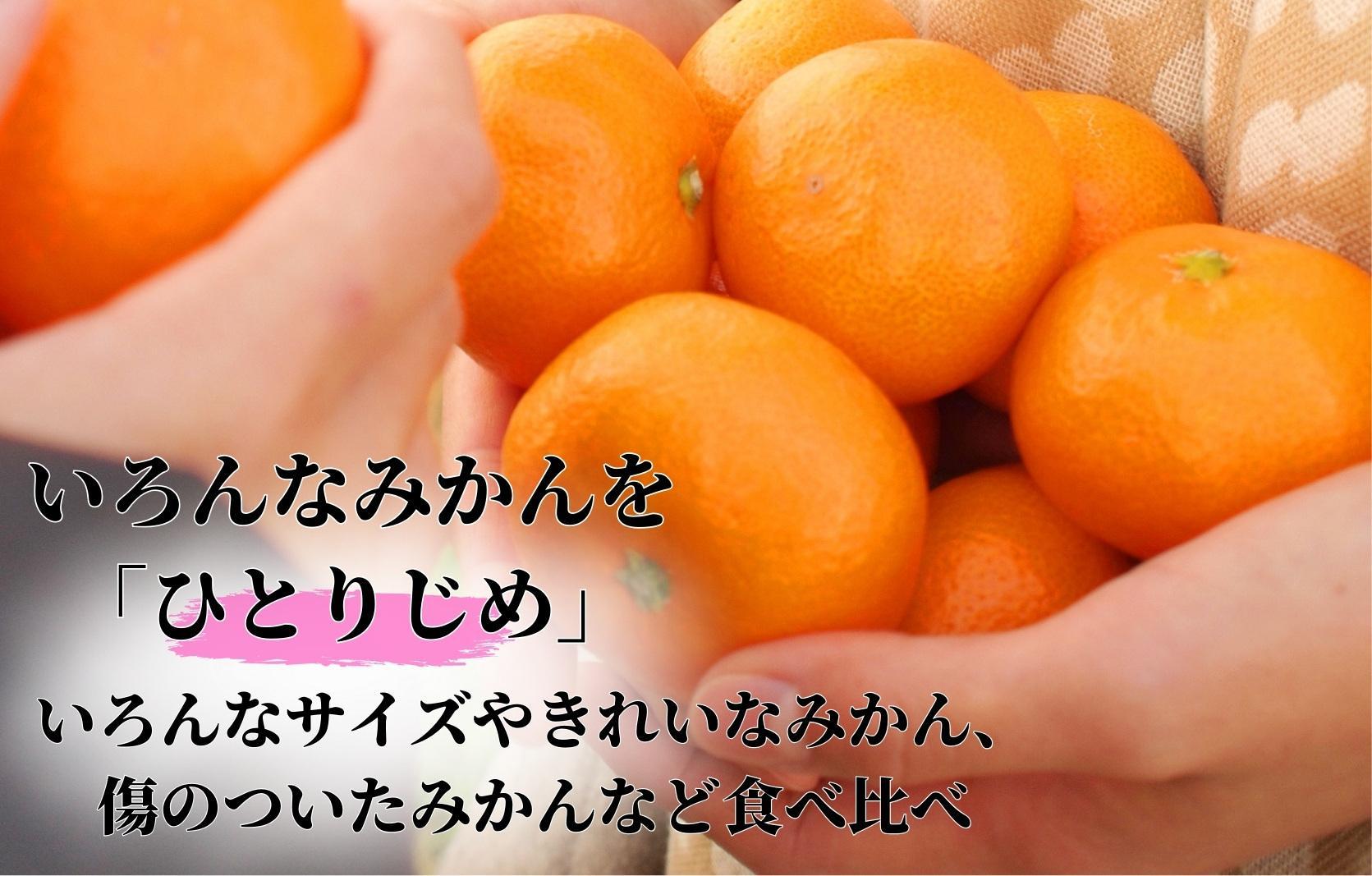 みかん ひとりじめ 箱込 約1kg(内容量約 0.9kg) サイズミックス 和歌山県産 産地直送 家庭用【みかんの会】