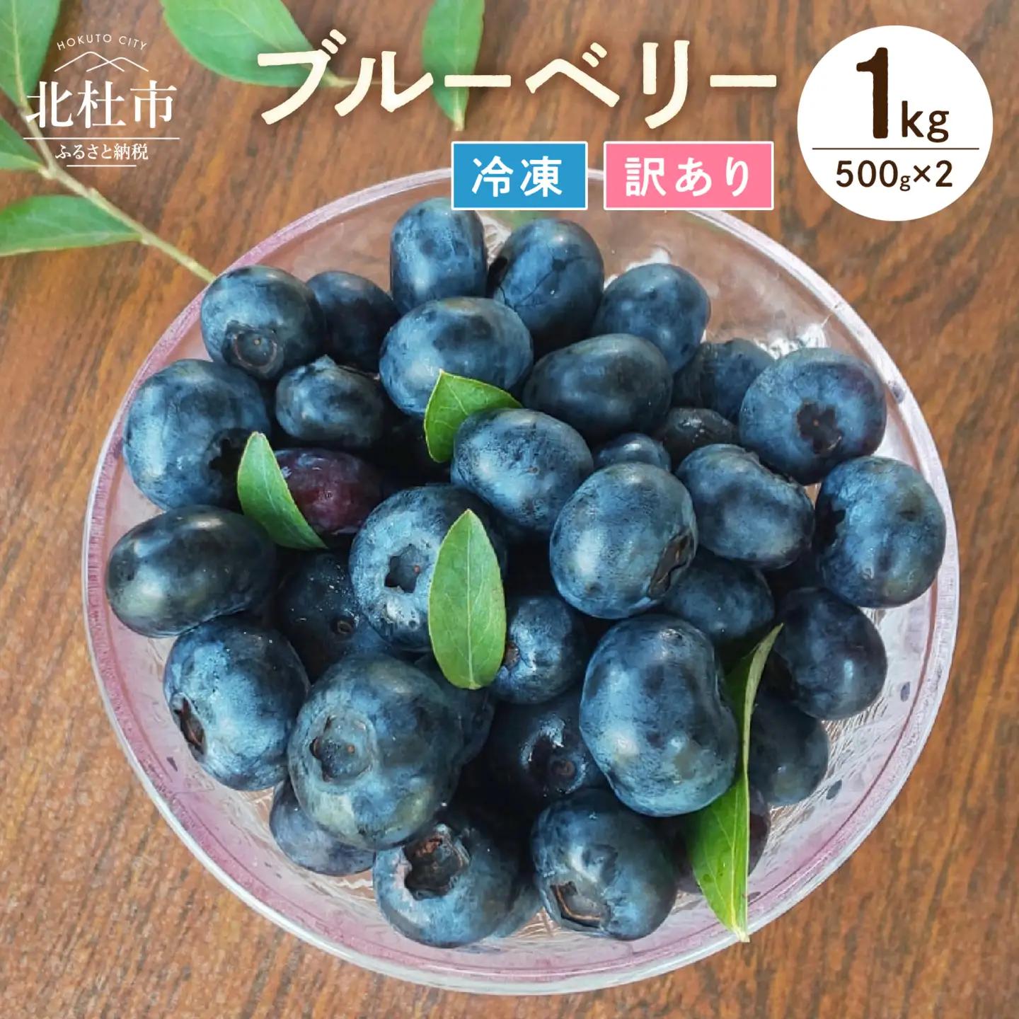 【2026年先行予約】【訳あり】O-B-Iベリ―農園の冷凍ブルーベリー1kg（500g×2） [h185]