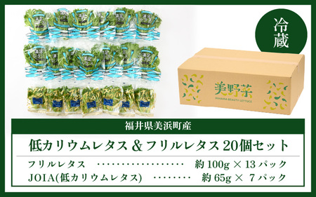 【福井県美浜町産】低カリウムレタス&フリルレタス　計20個セット【野菜 生野菜 レタス サラダ サンドイッチ お弁当 水耕栽培 洗わず食べられる 時短 付け合わせ ダイエット ヘルシー】レタス フリル