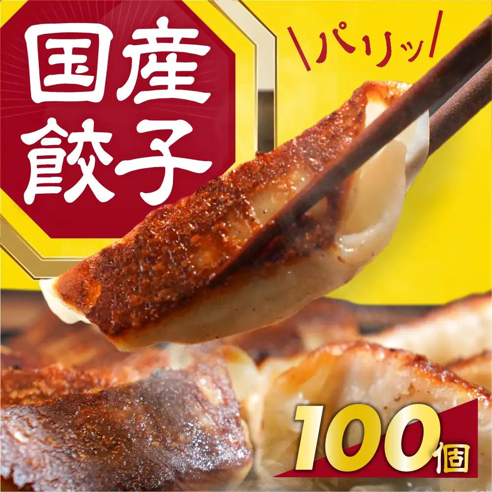 国産素材 冷凍餃子 100個 餃子 餃子