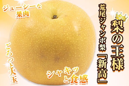 先行予約 梨 新高 ジャンボ梨 約3kg 髙口果樹園