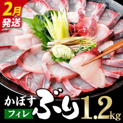 ふるさと納税 佐伯市 <先行予約受付中!2027年2月以降順次発送予定!>かぼす ブリ フィレ (1.2kg)