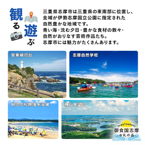 御食国志摩満喫旅行券 / 3,000円分 旅行クーポン 旅行券 志摩 旅行券 伊勢志摩 三重県 志摩観光 観光 宿泊 体験 〔010-102〕