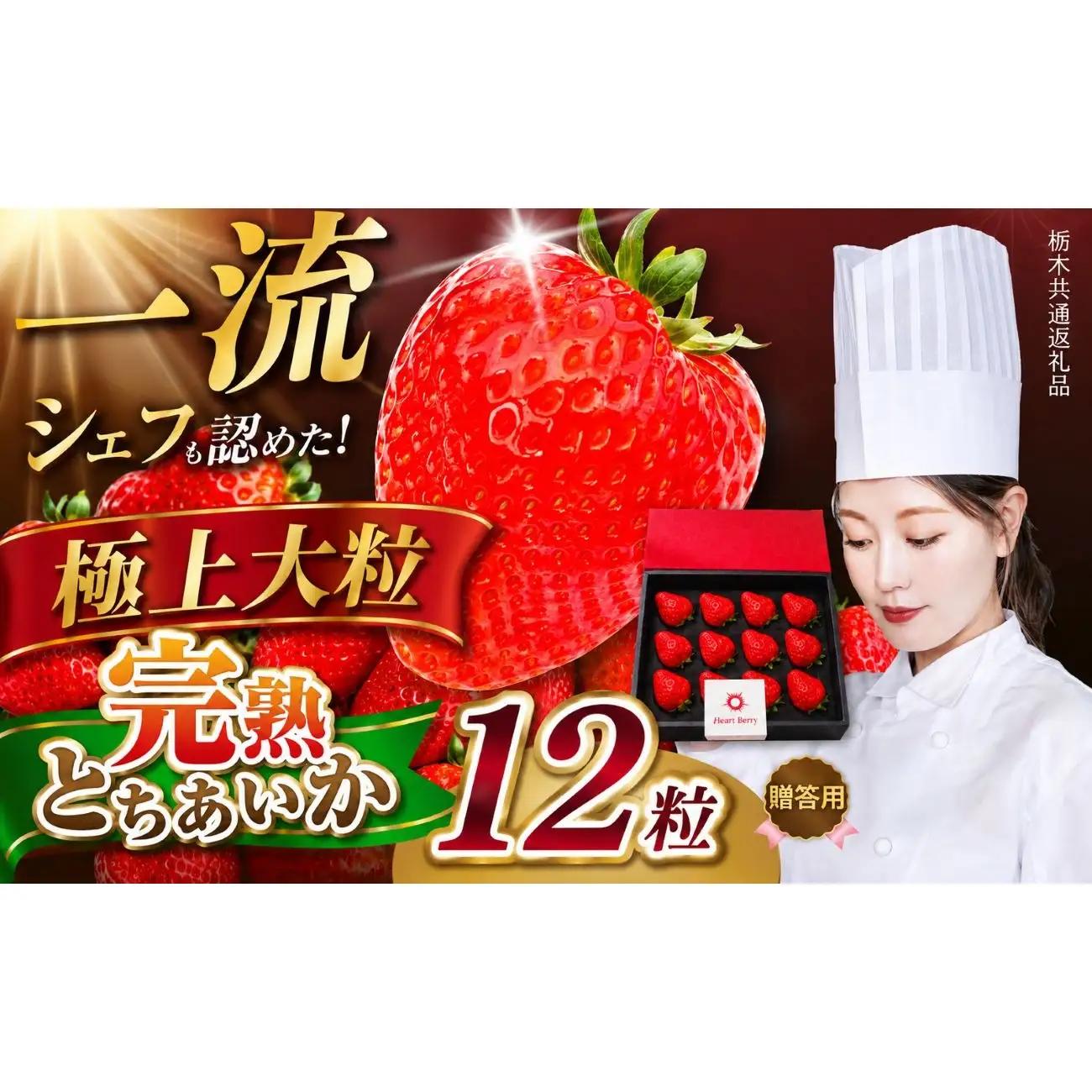 栃木県産 完熟とちあいか ギフトボックス 《大粒極上》 贈答用 ボックス（12粒）　栃木県 矢板市