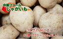 【ふるさと納税】【 2025年 収穫分】 種子島 中園ファーム 新じゃがいも ＼ 特大 3L サイズ 以上10kg ／ 煮崩れしづらい 煮物 や フライドポテト どんな料理にも合う じゃがいも ニシユタカ