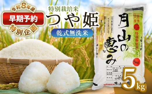 【早期予約特別企画】【令和8年産先行予約】 特別栽培米 つや姫 乾式無洗米 5kg (5kg×1袋) 山形県鶴岡市産　米工房 月山 | 国産 ブランド米 米どころ 庄内米 お弁当 おすすめ 炊き立て 美味しい 甘い もちもち 食感 人気 贈答 ギフト プレゼント 農家直送 送料無料 令和8年 新米 予約