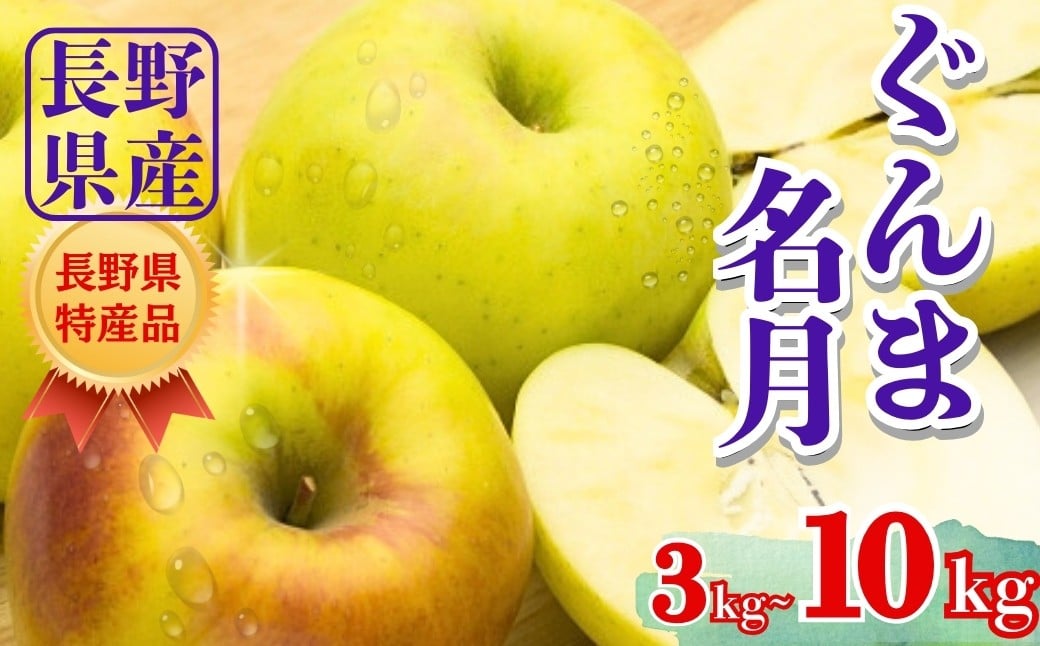
                  【2026年先行予約】ぐんま名月 約3kg / 約5kg / 約10kg | 林檎 リンゴ アップル 果物 くだもの フルーツ ぐんまめいげつ 群馬名月 お取り寄せ 産地直送 長野県産 信州林檎 信州りんご 信州 長野 千曲市
                