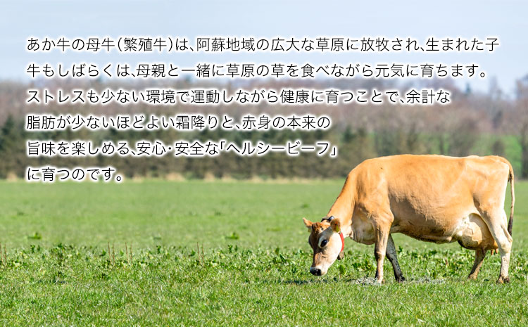 肥後のあか牛 すき焼き用 500g 《90日以内に出荷予定(土日祝除く)》 長洲501 熊本 特産 あか牛