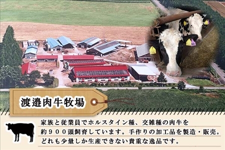 北海道 ビーフ ジャーキー 20g×4 牛肉 牛 beef 赤身肉 国産牛 肉 加工品 おやつ お菓子 おつまみ 国産 冷凍 詰合せ お取り寄せ 送料無料 十勝 士幌町【W10-4】