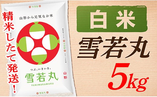 
                  【令和8年産予約】【白米】山形県産雪若丸5kg
                