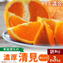 【ふるさと納税】【先行予約】有田育ちの 濃厚 清見 オレンジ 【訳あり 家庭用】3kg (サイズ混合)【清見 みかん タンゴール 柑橘 フルーツ 和歌山 有田】