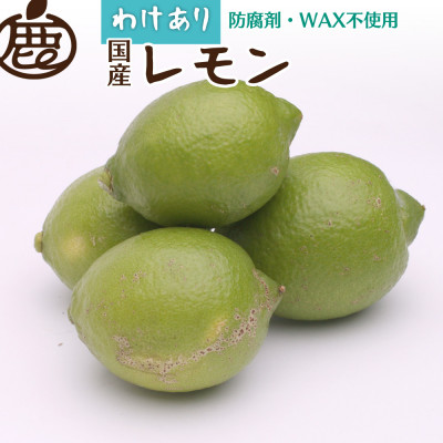 家庭用 レモン5kg+250g(傷み補償分)【訳あり】【防腐剤・WAX不使用、安心の国産レモン】【配送不可地域：離島・北海道・沖縄】【1320824】