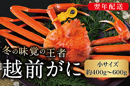 【2026年発送】越前がに（オス）「ずわいがに」（400g～600g） 1杯
